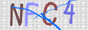 Obraz CAPTCHY