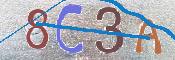Obraz CAPTCHY