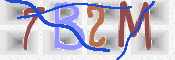 Obraz CAPTCHY