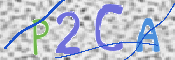 Obraz CAPTCHY