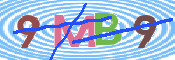 Obraz CAPTCHY
