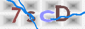 Obraz CAPTCHY