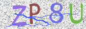 Obraz CAPTCHY
