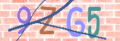 Obraz CAPTCHY