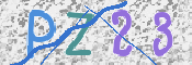 Obraz CAPTCHY