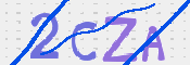 Obraz CAPTCHY